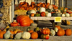 Images Dated 20th October 2011: Farmers Market, autumn in Luling, Texas