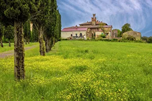 Images Dated 2022 August: Farmhouse with access road lined by Cypress tree row
