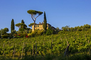 San Gimignano Prints: Farmhouse. Tuscany. Italy
