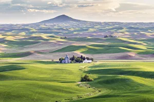 Grain Prints: Farmington, Washington State, USA. Wheat farms in front of Steptoe Butte in the Palouse