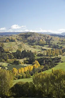 Farmland, Esk Valley, near Napier, Hawkes Bay, North Island, New Zealand