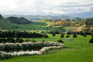 Images Dated 29th November 2006: Farmland, Kawhatau Valley, Rangitikei, North Island, New Zealand