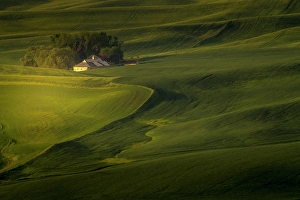 Images Dated 8th January 2024: Farmland scene from above in the Palouse region of Washington State. (Editorial Use Only)