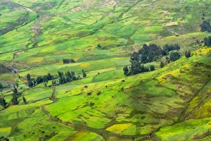 Amhara Prints: Farmland in Simien Mountain, Ethiopia