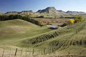 Images Dated 24th April 2007: Farmland, Tukituki Valley, and Te Mata Peak, Hawkes Bay, North Island, New Zealand