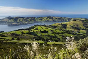 Australia Prints: Farmland at Upper Junction, and Otago Harbor and Otago Peninsula, Dunedin, South Island