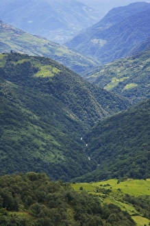 Farmlands and Himalaya forest in the Mangdue Valley, Bhutan