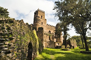 Fasil Ghebbi, a fortress-like royal enclosure, Gonder, Ethiopia