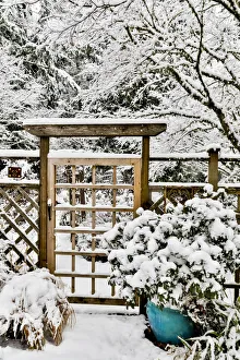 Covered Prints: Fence and gate covered with snow