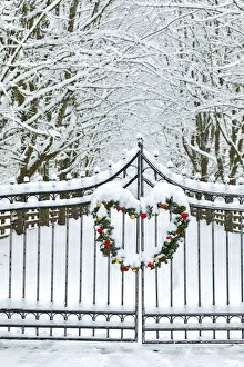 Prints of Fence line and fresh snow with trees line lane and metal gate with Christmas wreath Images Dated 2017 December: Fence line and fresh snow with trees line lane and metal gate with Christmas wreath
