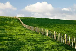 Images Dated 29th November 2006: Fence Line and Paddock, near Wanganui, North Island, New Zealand