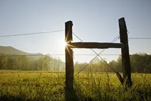 Fencepost Prints: Fencepost at sunrise, Cades Cove, Great Smoky Mountains National Park, Tennessee