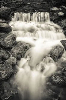 Sierra Prints: Fern Spring, Yosemite National Park, California, USA