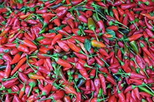 Medina Prints: Fes, Morocco. Red hot chiles for sale in the market