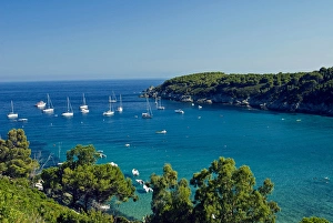 Tyrrhenian Prints: Fetovaia, Isola d Elba, Elba, Tuscany, Italy