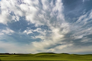 Farmland Prints: Field in the Palouse region of Washington with an interesting cloud formation