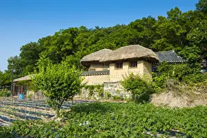 Korean Prints: Field before traditional wooden houses in the Yangdong folk village near Gyeongju