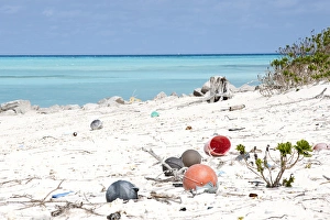 Midway Prints: Fifty tons of plastic arrive at Midway each year brought by circular currents, known