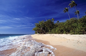Tavarua Prints: Fiji Islands, Tavarua. This beach on Tavarua, in the Fiji Islands, wouldn t be