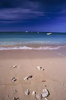 Tavarua Prints: Fiji Islands, Tavarua. A collection of rocks is gathered by the sea on Tavarua