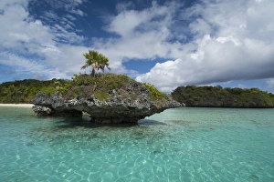 Crater Prints: Fiji, Southern Lau Group, Island of Fulanga