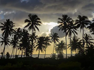 Taveuni Prints: Fiji, Taveuni Island. Beach sunset with palm trees