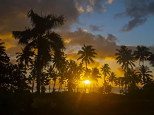 Oceania Prints: Fiji, Taveuni Island. Beach sunset with palm trees