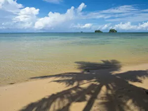 Fiji, Taveuni Island. Silhouette of a palm tree on sandy beach with blue sky