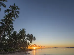 Oceania Prints: Fiji, Vanua Levu. Beach sunset with palm trees