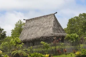Images Dated 2nd January 2006: Fiji, Viti Levu