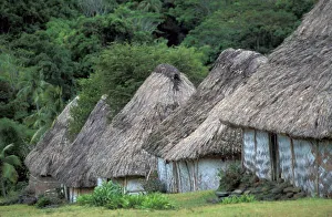 Viti Prints: Fiji, Viti, Traditional hut houses