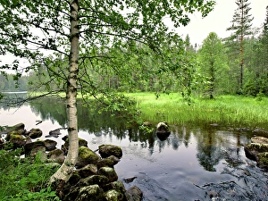 Images Dated 17th July 2024: Finland, Kainuu, Hossa National Park. Along Karhunkierros hiking trail