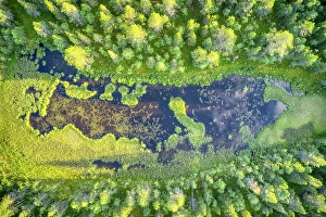 View From Above Prints: Finland, Lapland. Aerial view of a marsh in a forest