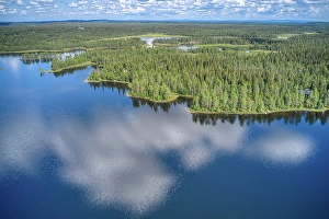 Images Dated 17th July 2024: Finland, North Ostrobothnia, Rukatunturi area