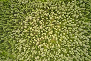 Images Dated 28th July 2020: Finlandia, Savonlinna, aerial view