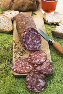 Herb Prints: Finocchiona, tuscan salami with wild fennel seeds (Foeniculum vulgare), Florence