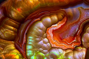 Images Dated 4th September 2012: Fire Opal from Australia