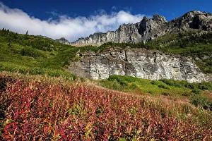 Garden Wall Prints: Fireweed in autumn color below the Garden Wall in Glacier National Park, Montana, USA