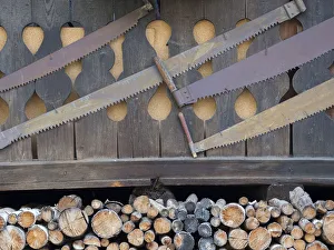Still Life Prints: Firewood. Predazzo in valley Val di Fiemme, in the Dolomites Italy