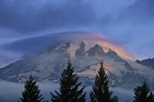 Images Dated 10th August 2009: First light of the day strikes the slopes of Mount Rainier in Mount Rainier National