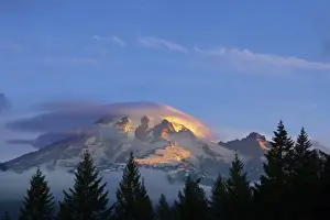 Mt Rainier Prints: First light of the day strikes the slopes of Mount Rainier in Mount Rainier National