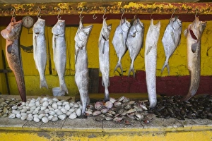 Food Stall Prints: Fish booth on Concon Beach, near Vina del Mar, Chile