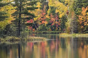 Images Dated 4th August 2020: Fish Lake and fall colors along shoreline, Hiawatha National Forest