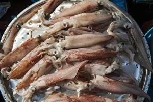 Seafood Prints: Fish for sale in the fish market of Busan, South Korea