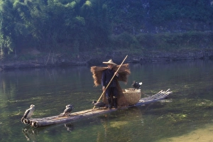 Fisherman Prints: Fisherman with cormorants on bamboo raft on the Li River, Guangxi Province, China