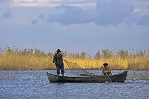 Dobrogea Prints: Fishermen bring in their harvest of fish during early spring in the Danube Delta, Romania