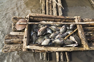 Fishermen on Lake Chamo, Arba Minch, Ethiopia