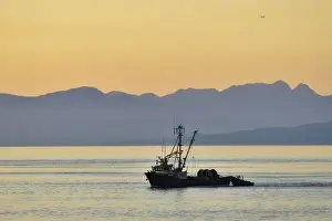Matt Freedman Prints: Fishing boat seen at sunset from Vancouver / Nanaimo Ferry