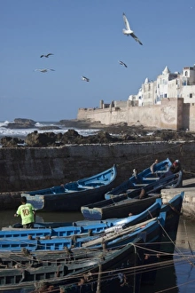 Images Dated 29th March 2009: Fishing boats, Essaouira, Morocco