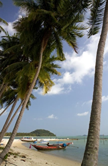 Paradise Prints: Fishing boats in the Gulf of Thailand on the island of Ko Samui, Thailand